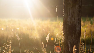 云呼死你轰炸免费网页平台