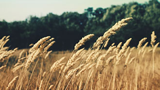 在线电话轰炸软件