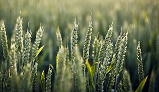 24小时呼叫轰炸神器